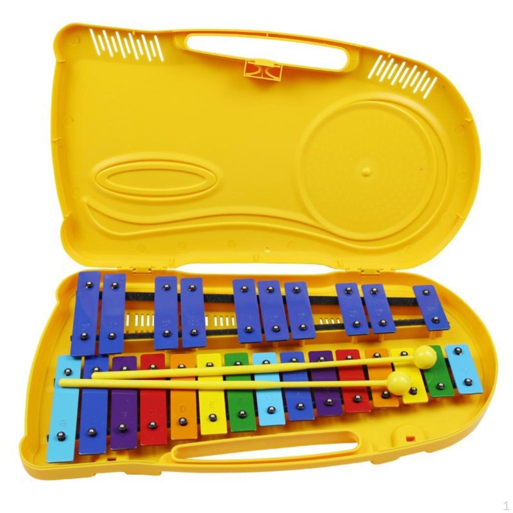Xylophone with Carry Case 25Note Portable for Beginners, Young