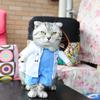 Funny Pet Dog Costume Standing Cosplay Outfit Small Medium Large Dogs