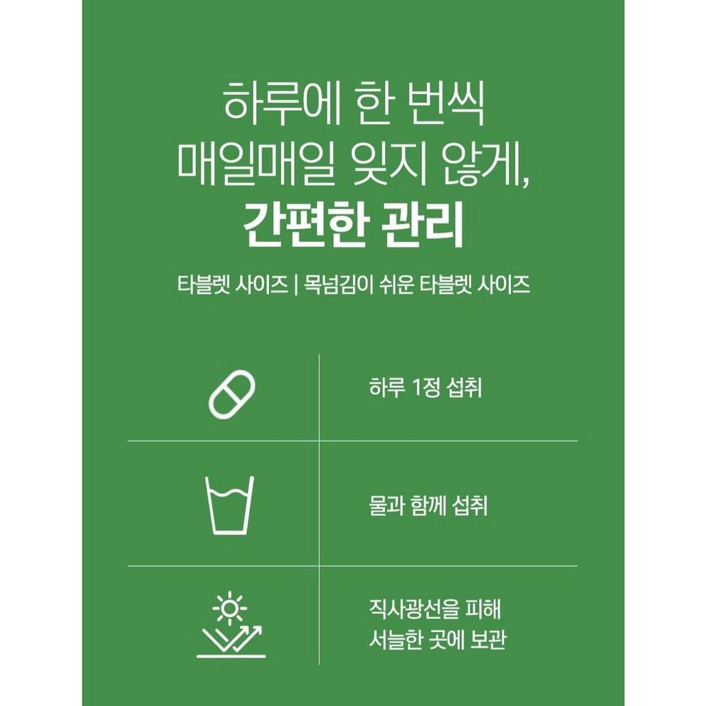 Vita Mellow Wasatexin Max Comprimés Extrait de Feuille de Wasabi, Certifié HACCP, 120 Comprimés