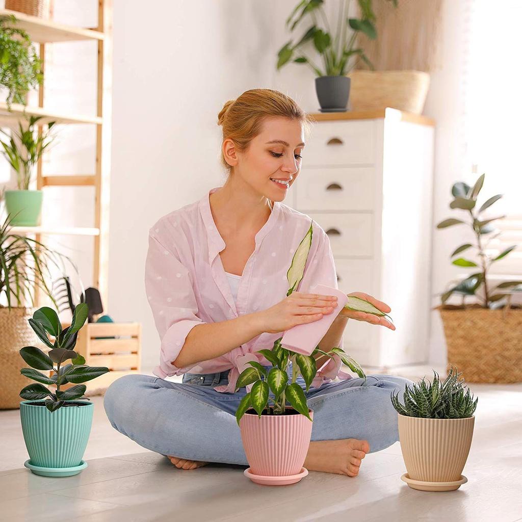 Plastic Round Flower Pots with Tray for Home Planters, Terrace, Garden Etc | Pack of 05 | Baby Pink | Size 6.5 Inch | for Home Indoor & Outdoor