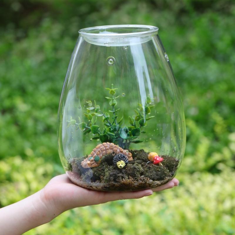 Micro Landscape Glass Bottles with Cover Fresh Green Succulent Moss Bottle Glass Vase Glass Terrarium Bonsai Home Desktop Decor