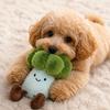 Interactive Puppy Chewing Toys Plush Cauliflower Dog Toy, Squeaky Chew Soft Durable Small Stuffed Toy for And Medium Dogs, Teething Indoor Outdoor Pet