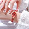 Fashion Bracelet Ladies Watch Trendy Versatile Ladies Quartz Watch