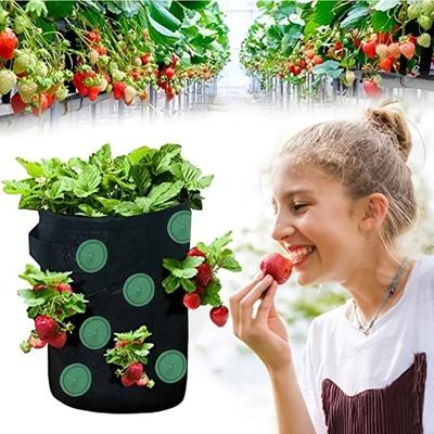 Sac de plantation à 13 trous Pas facile à déformer Respirant Type suspendu Réutilisable Multifonction Tissu non tissé