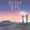 Elim15 by Enzo Silvestri Paperback Book 9781035827961