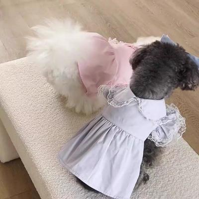 Vêtements et chaussures – Robes pour chien