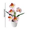 5 Blooms Artificial Orchid Arrangement Realistic Potted Flower Display  Table Centerpiece
