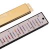 C Key 24-Hole Double Row Harmonica for Beginners and Students - Ideal for Children's Practice and Classroom Use.