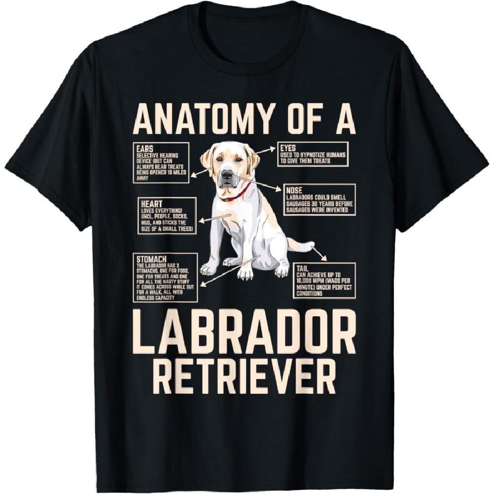 

Anatomy Of A Labrador Retriever T-Shirt S
