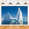 Arctic Glacier Photography Backdrop Supplies Winter Natural Scenery Ice Snow Background Party Decoration Banner Photo Shoot Prop1985