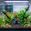 Ocean Color Fish Tank Ornament Irregular Shape Resin Rock Cave  Fish Tank Landscaping