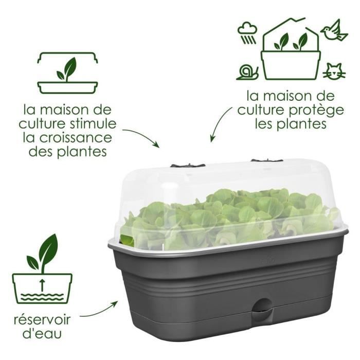 ELHO Green Basics Allin1 Large Grow Box - L 39 X W 23 X H 15 Cm - Growing and Harvesting - 100% Recycled - Black