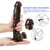 Brown Realistic Dildo for Women  Beginner Clear Dildo with Strong Suction Cup Hands-Free Play for Adult Sex Masturbator G Spot