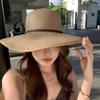 French Big Brim Straw Hat Women's Spring 2026 New Holiday Style Seaside Sun Hat Foldable Sun Hat Tide