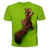 Fashion Funny Squirrel 3D Print T-Shirts Streetwear Men Summer Harajuku Casual Oversized O-Neck T Shirt Tees Tops Clothing