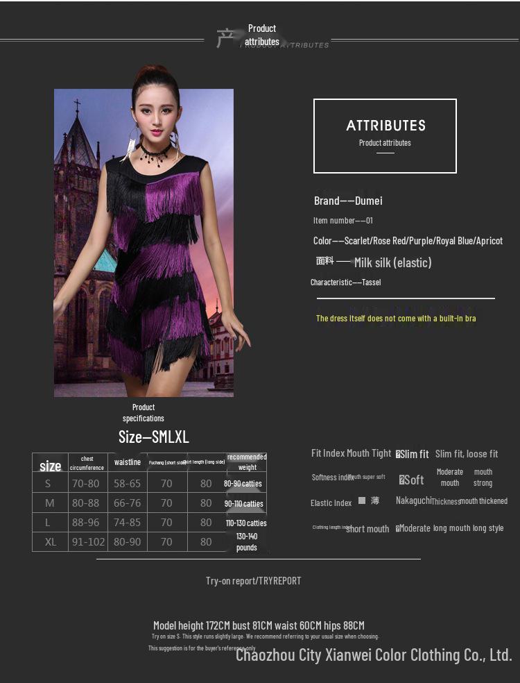 Tassel Latin Dance Costume for Women - Performance Stage Group Uniform