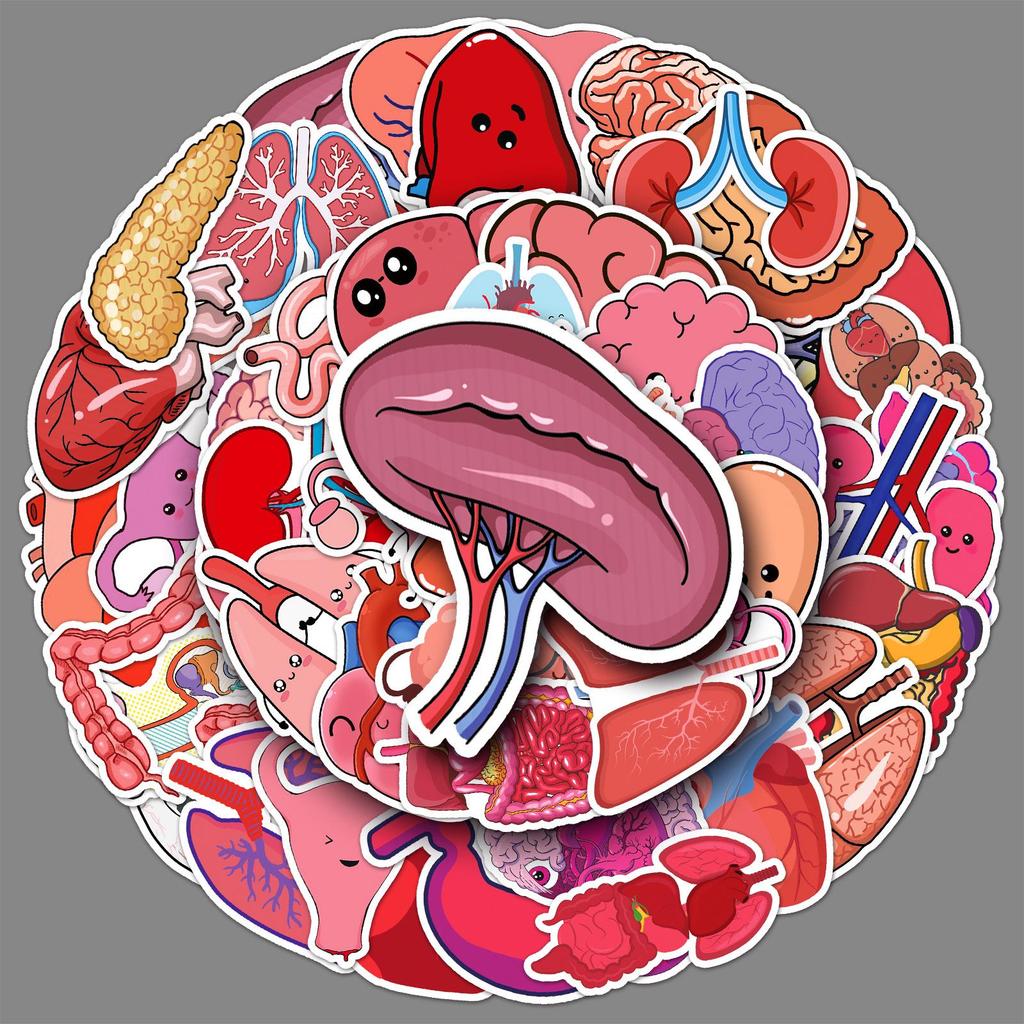50 Human Organ Doodle Stickers for Decorating Phone Cases & Suitcases