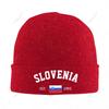 Knitted Hat Unisex Slovenia EST Independence Day For Unisex Women Boys Winter Autumn Beanie Cap Warm Bonnet