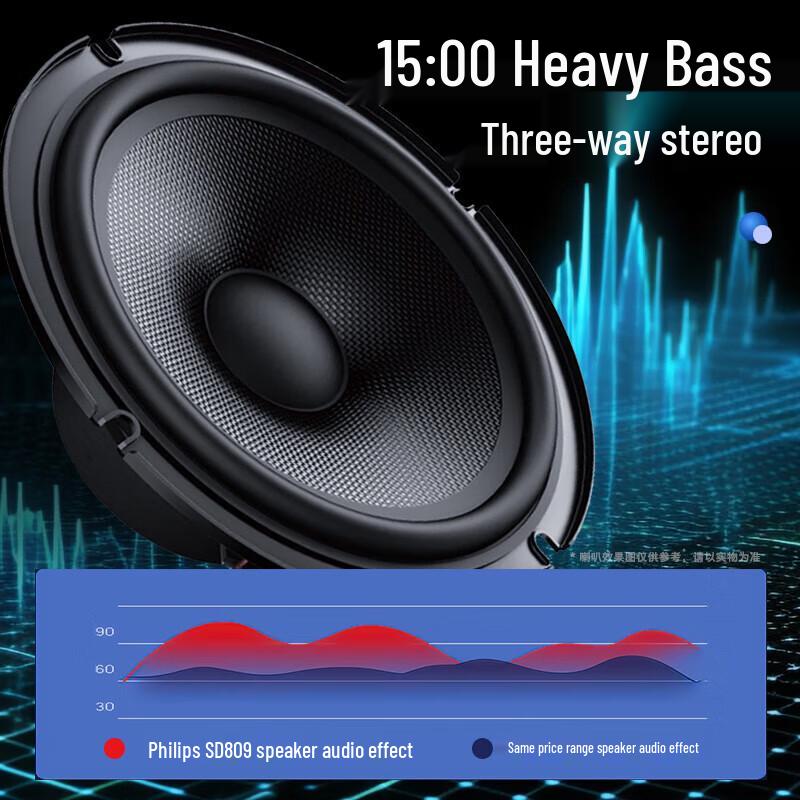 Philips SD809 Professional KTV & Stage Speaker System