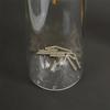 Modern Glass Incense Holder for Short Incense Sticks Anti-Ash Flying Incense Burner with Ash Catcher for Yoga Meditation