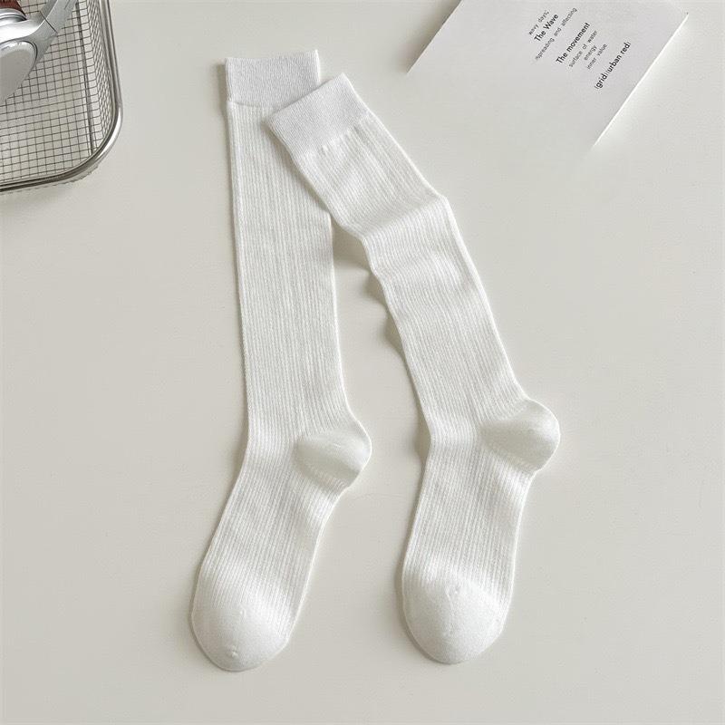 Female Summer Thin Model All Match Show Thin Mesh Breathable Ballet Wind Calf Pile Socks