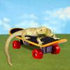 Helma pro mazlíčka Skateboard 3dílná sada Nastavitelná bezpečnostní helma Klobouk pro technické použití pro křečka Papouška Odolné hračky pro mazlíčky