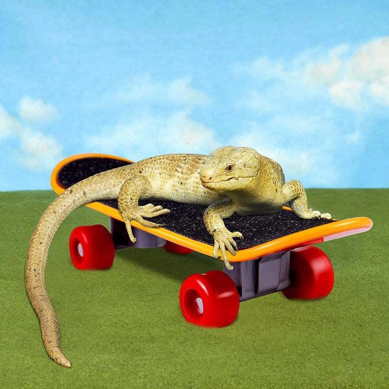 Helma pro mazlíčka Skateboard 3dílná sada Nastavitelná bezpečnostní helma Klobouk pro technické použití pro křečka Papouška Odolné hračky pro mazlíčky