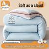 Shixun Winter Warm Cotton Comforter