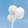 5-100pcs/Pack 12inch White Latex Balloon for Wedding Birthday Party Baby Shower Engagement Anniversary Decoration Supplies Favor
