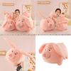 Flying Pig Plush Toy Long Eared Soft Stuffed Animal For Kids Room Decor