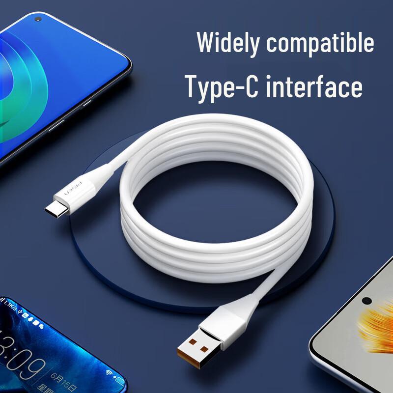 PISEN Type-C 100W 6A Fast Charging Data Cable