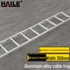 HAILE Aluminum Alloy Network Cable Tray Systems & Accessories