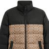 Down Jackets Men's Stand Collar Moderate Other CK954-OCI