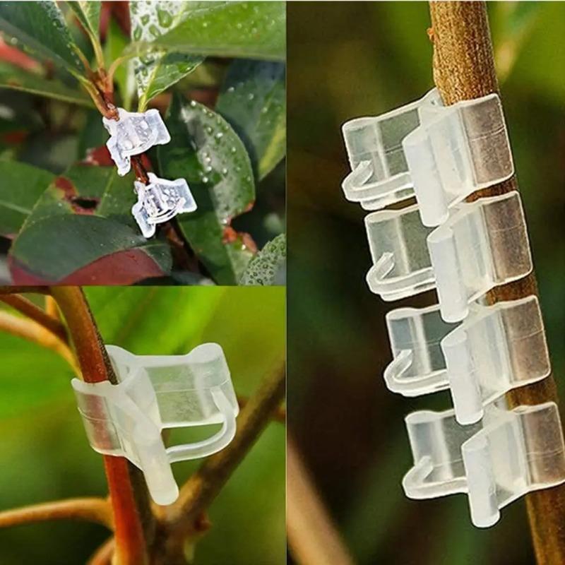 20/30/50PCS Plant Grafting Clips Mini Plastic Vegetable Fruits Plant Vine Bind Clamps Fruits Seeding Supports Connector Fixing Clips