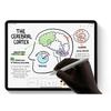 Apple Pencil (2st Generation) White Stylus New