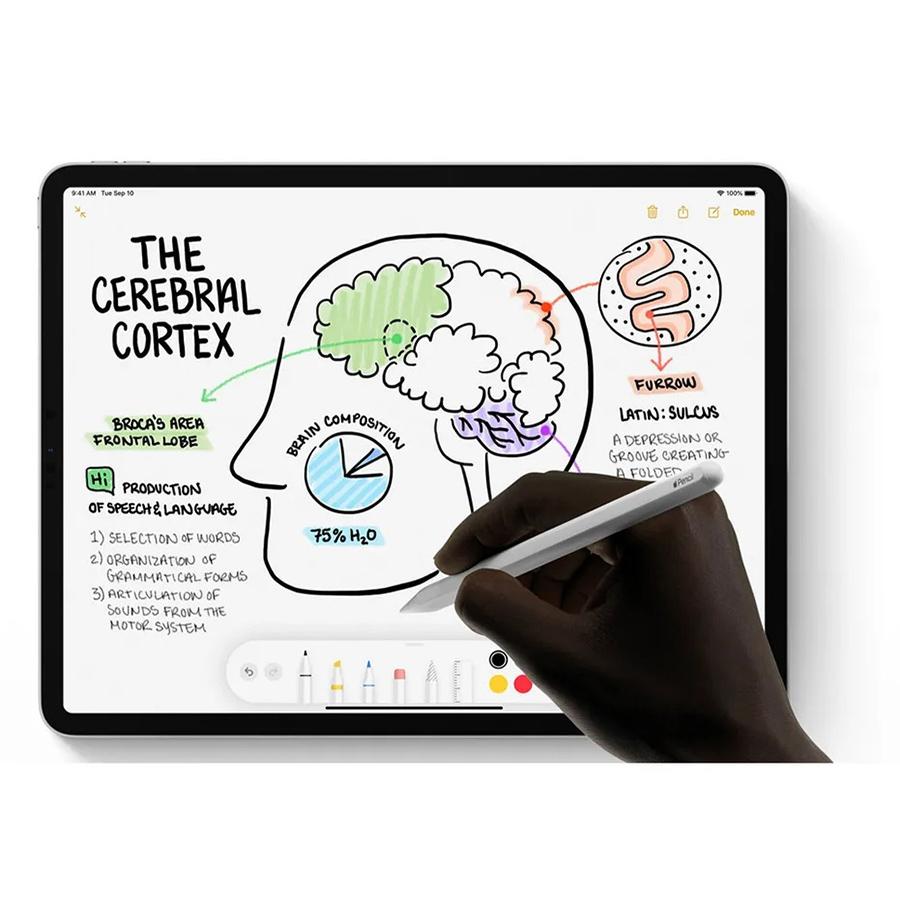 Apple Pencil (2st Generation) White Stylus New