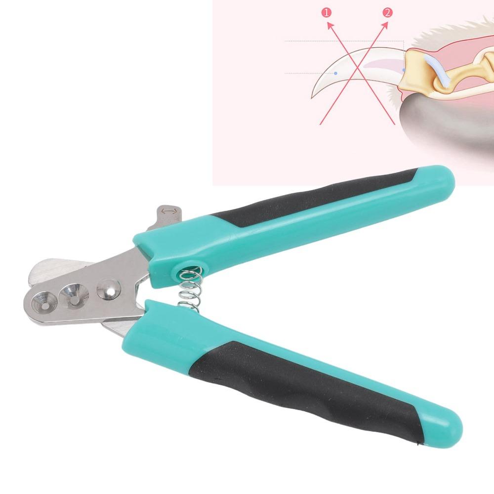 Metal Blades Pet Nail Clipper Curved Cut Edge Pet Grooming Nail Tool Paw Care Maintenance