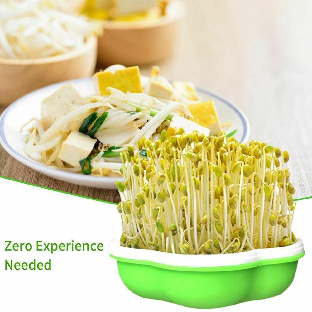 Buy Bean Sprouts Growing Tray Seed Sprouter Tray Large Healthy Capacity