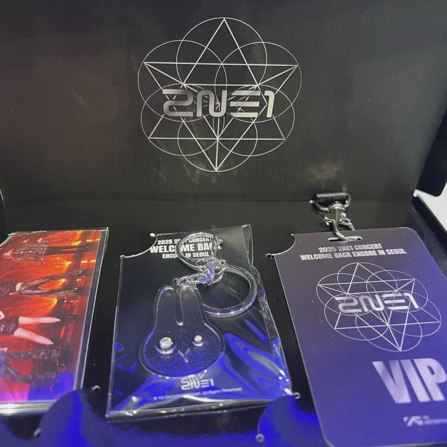 

2ne1 2ne1 Там Там Брелок Морской котик Набор Ремешок Vip Комплект Продажа