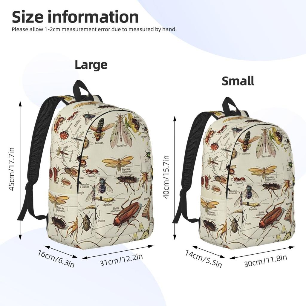 Insects Chart. Scientific Illustration, Text In French Backpack Hot Sale Daypack BookBag School Bag Shoulder Bags for Men Women