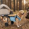 Adjustable Pet Wheelchair Cart Comfortable Rehabilitation Walking Assistant  Outdoor Use