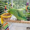 Paw Grinding Bird Feeding Cup Wear-resistant Bird Perch Stand  Pet Bird Supplies