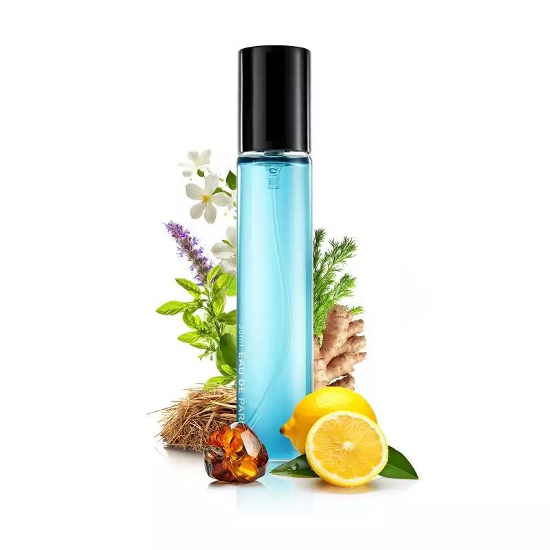 

Чоловіча парфумована вода Blue 33 ML