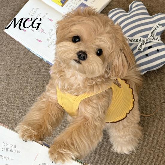 Pet Hair Reduction Shirt Ribbed Sleeveless Dog T-Shirt, Breathable Girl Vest Shirt, Soft Fabric Top Summer Puppy Outfit for Small Dogs Bichon