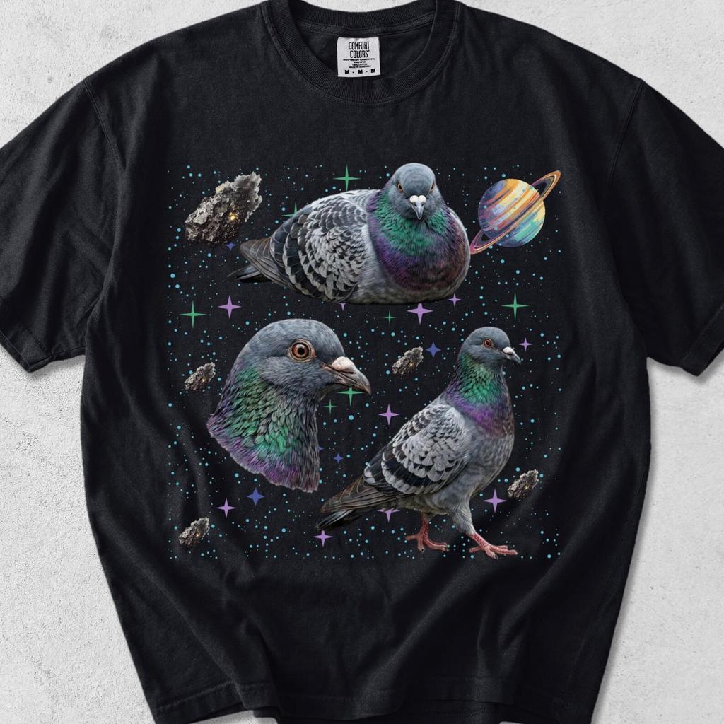 Three Pigeon Space T-shirts, Vintage Pigeon Moon Tshirt, Bird Watching Lovers, Funny Brid Tee, Oversized Washed Tee, Silly Gift