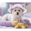 New Cat Hat Lace Princess Hat, Sunshade Pet Hat Floral Lace Dog Hat