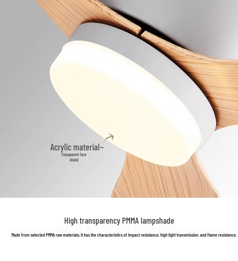 Nordic Silent Ceiling Fan Light for Home, Restaurant, and Commercial Use