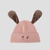 Pinch Ears Will Ring Knitted Hat Women Autumn Winter Windproof Warm Embroidered Dog Wool Hat