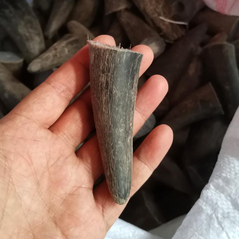 Bizoní roh DIY materiál pro řezbářství a řemesla: Rukojeti nožů, Korálky, Pečetě