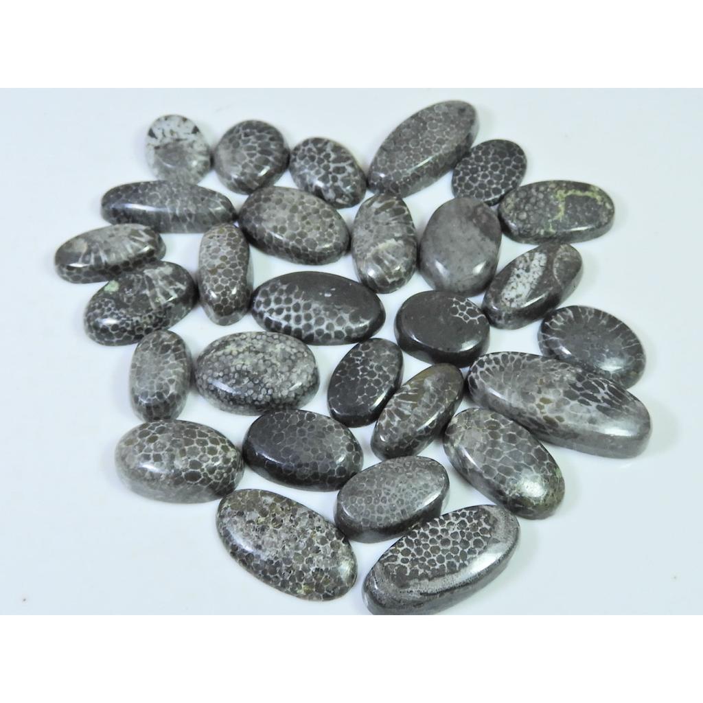 208Cts. Natural Black Fossil Coral Oval Cabochon Loose Gemstone 28 Pcs Lot C-639